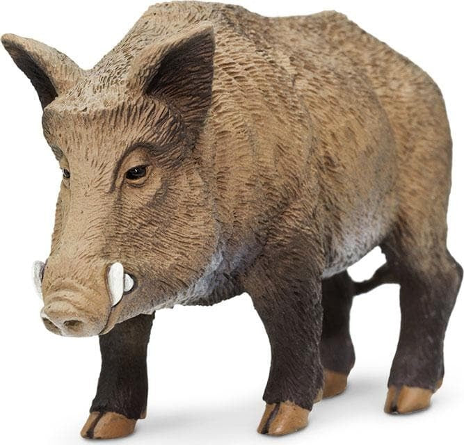 Boar Toy