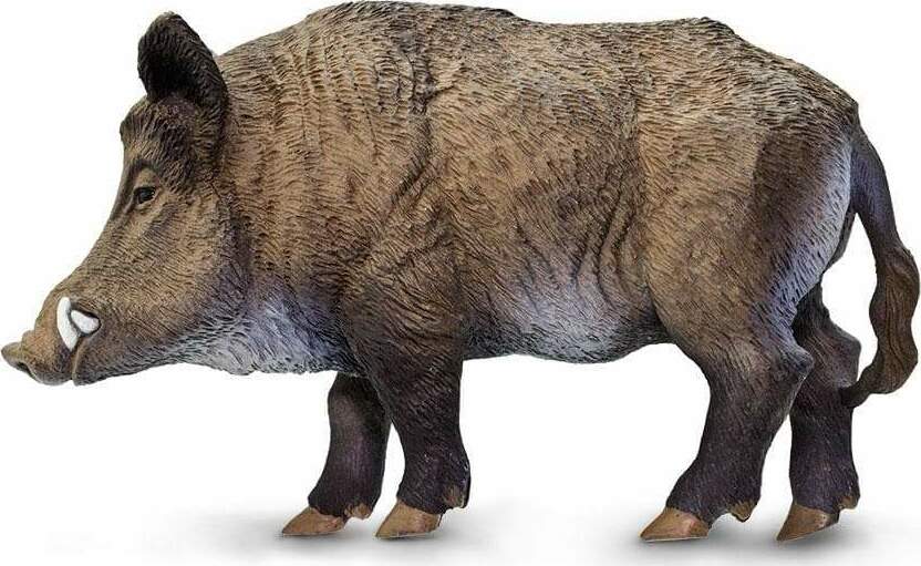 Boar Toy