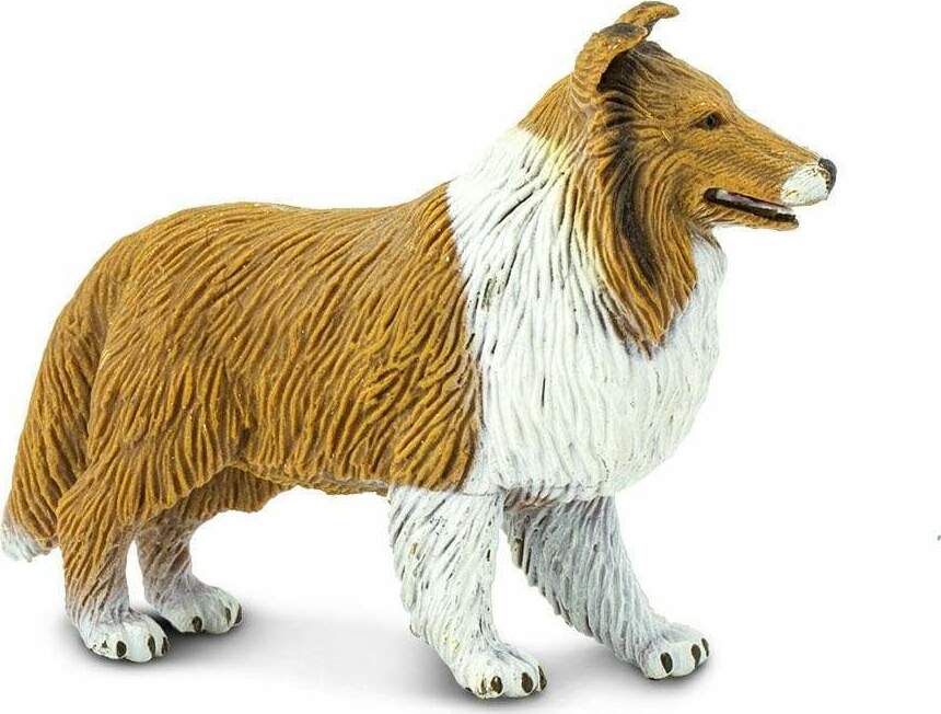 Collie Toy