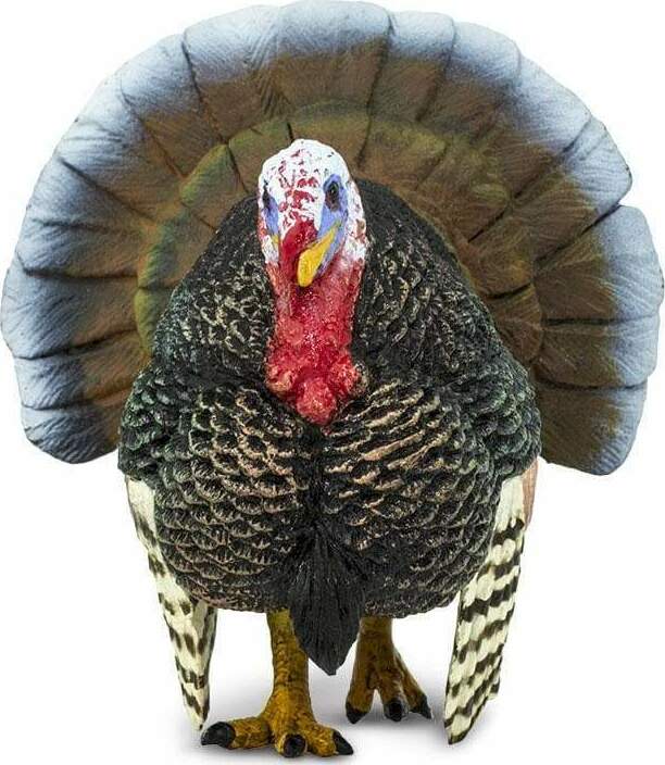 Turkey Toy