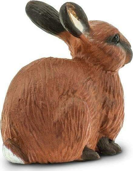 Rabbit Toy