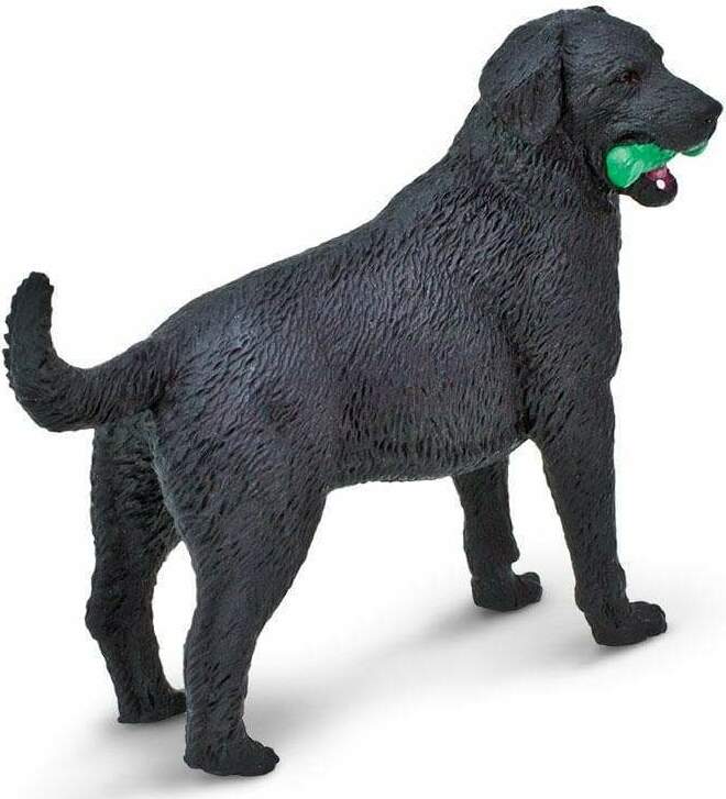 Black Labrador Toy