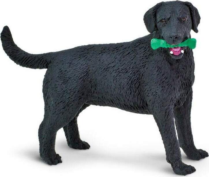 Black Labrador Toy