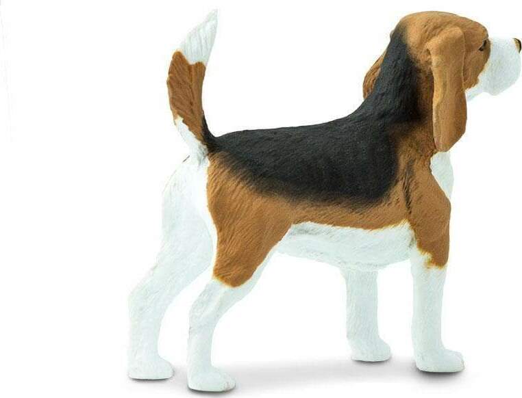 Beagle Toy