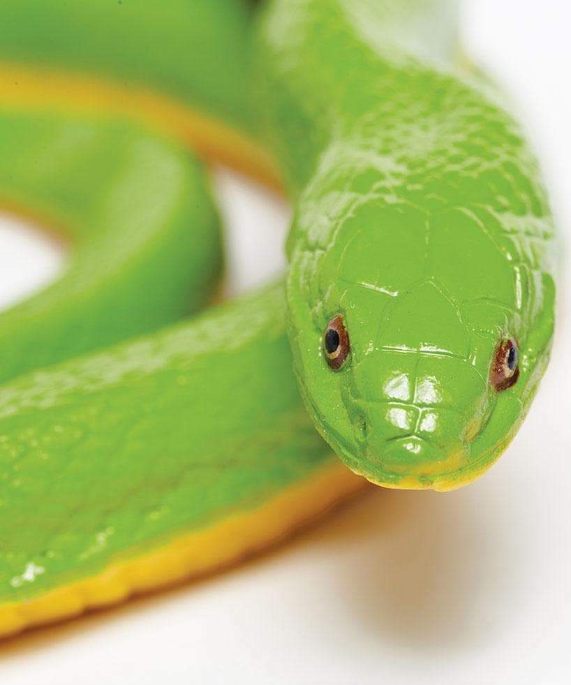 Rough Green Snake Toy