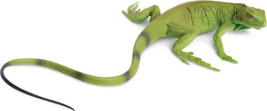 Iguana Baby Toy