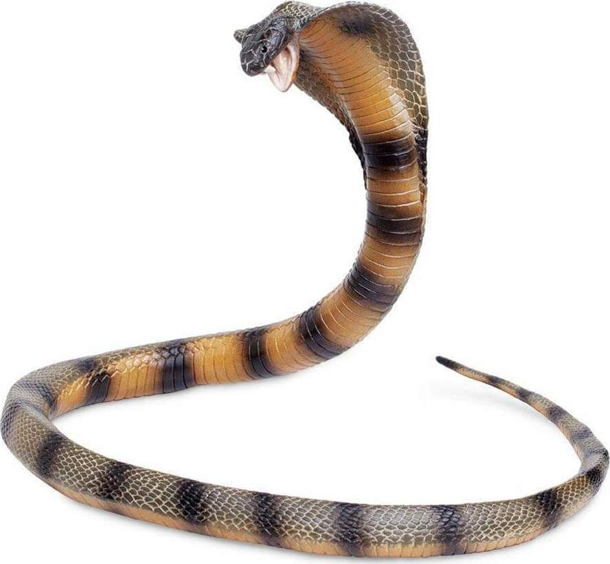 Cobra Toy