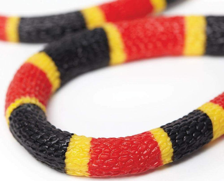 Coral Snake Baby Toy