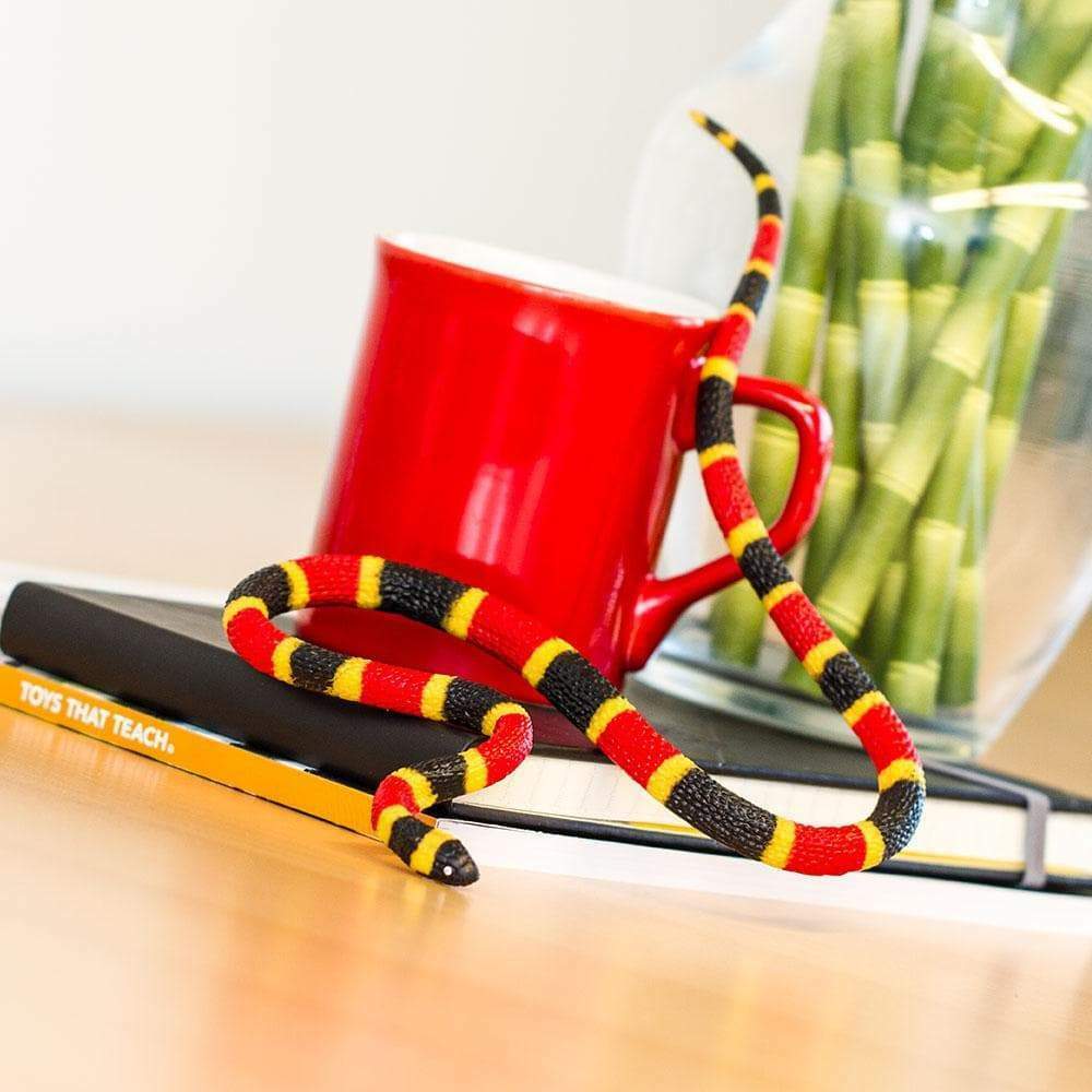 Coral Snake Baby Toy