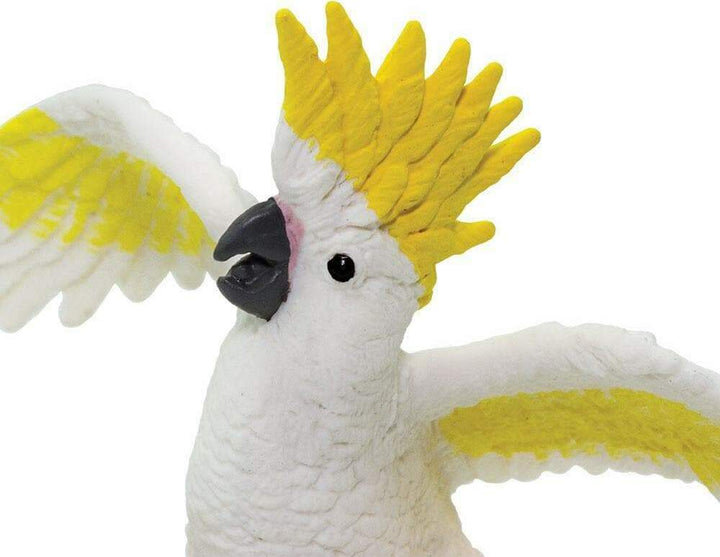 Cockatoo Toy