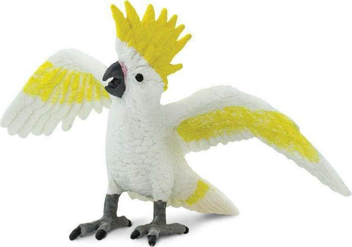 Cockatoo Toy