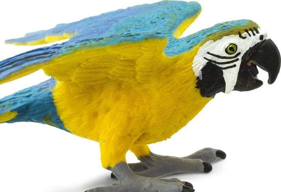 Bird Blue Gold Macaw – Stevenson's Toys & Games