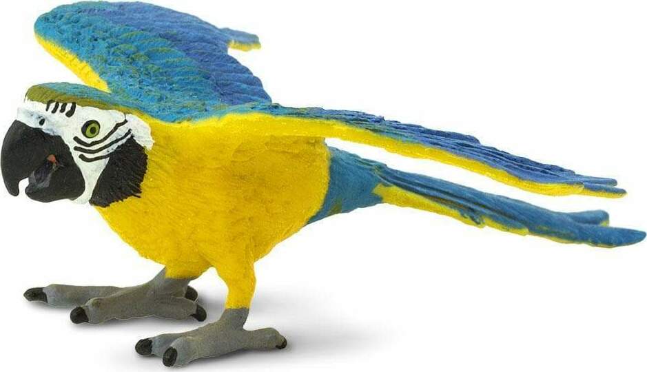 Bird Blue Gold Macaw – Stevenson's Toys & Games