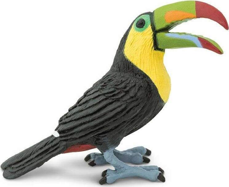 Toucan Toy