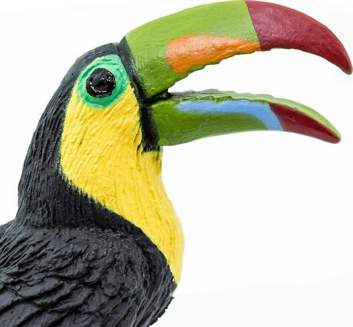 Toucan Toy