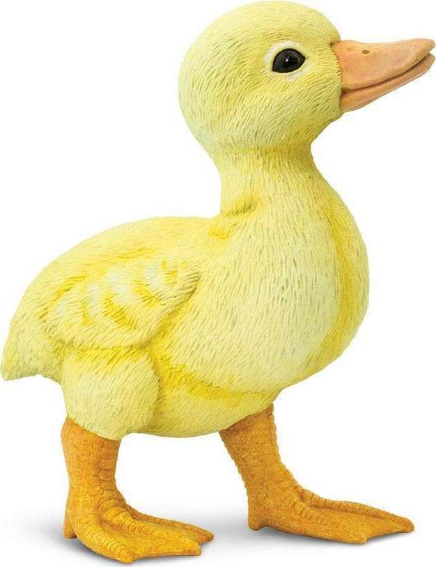 Duckling Toy