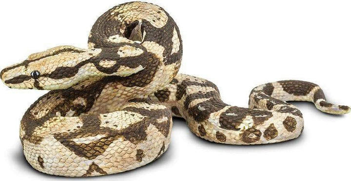 Boa Constrictor Toy