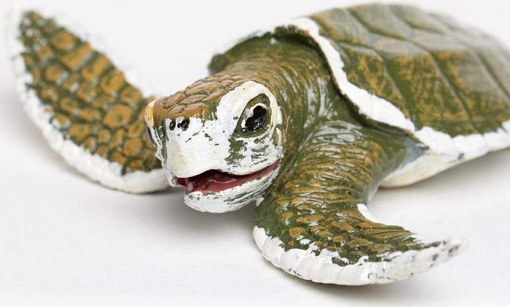 Kemp's Ridley Sea Turtle Baby Toy