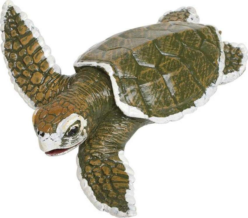 Kemp's Ridley Sea Turtle Baby Toy