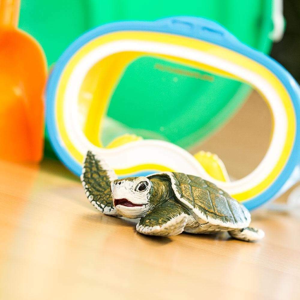 Kemp's Ridley Sea Turtle Baby Toy