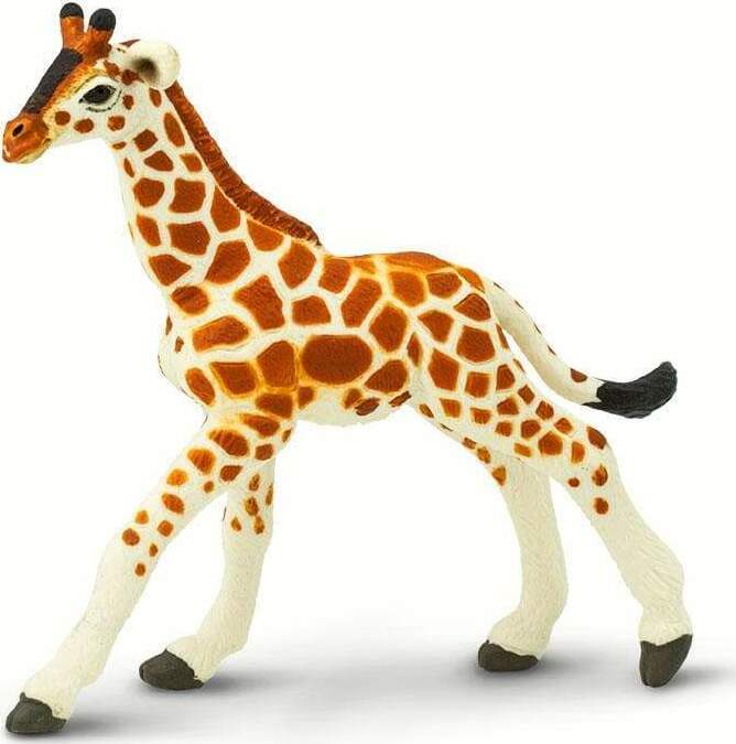 Reticulated Giraffe Baby Toy