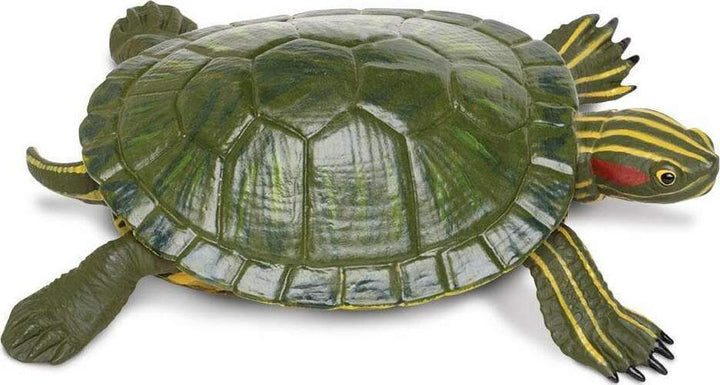 Red-Eared Slider Turtle Toy