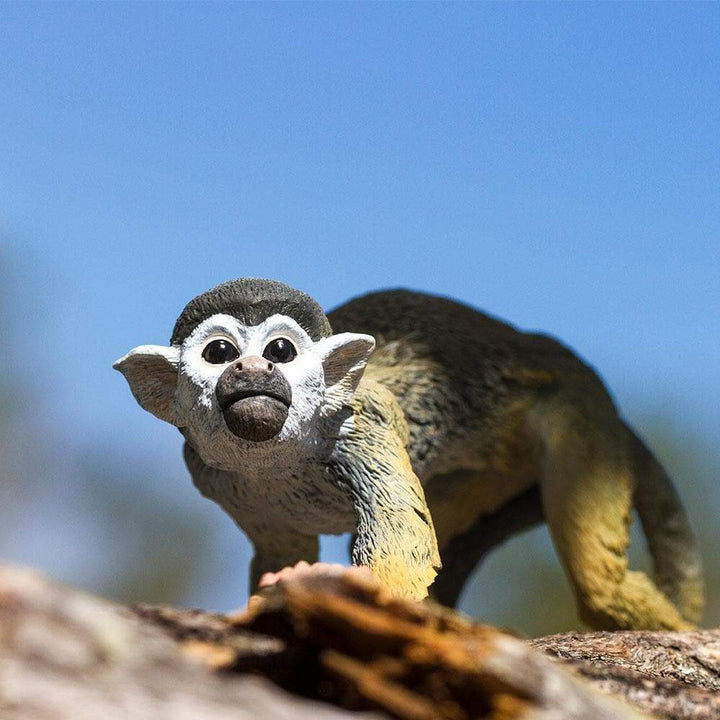 Squirrel Monkey Toy