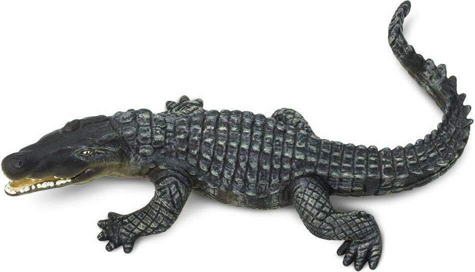 Crocodile Toy