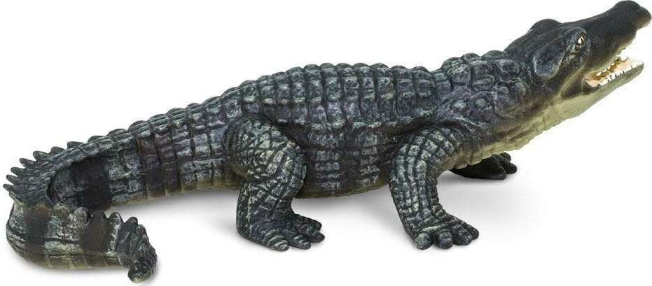 Crocodile Toy