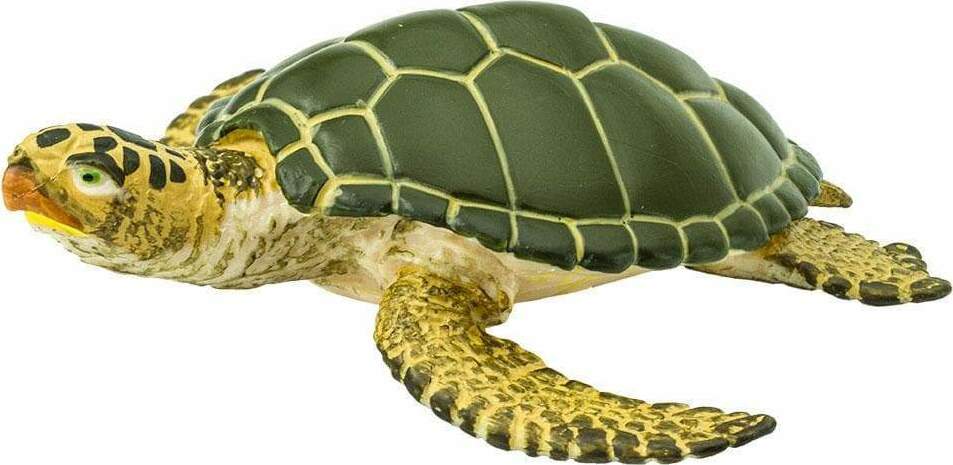 Green Sea Turtle Toy