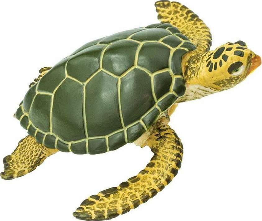 Green Sea Turtle Toy