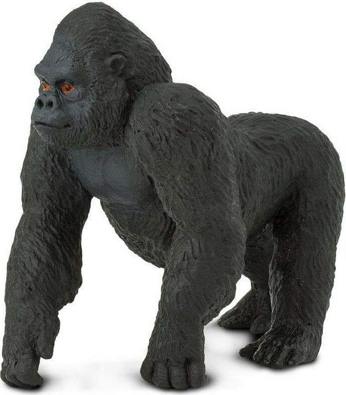 gorille  Safari Wild Lowland Gorilla Male – Stevenson's Toys & Games