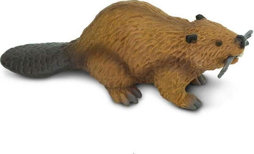 Beaver Toy - Safari Ltd Beaver Toy - Safari Ltd