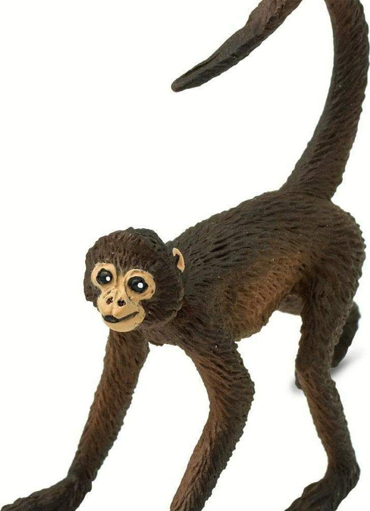 Spider Monkey Toy