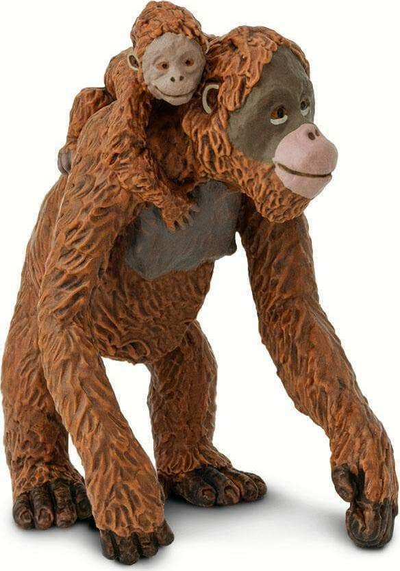 Orangutan with Baby Toy