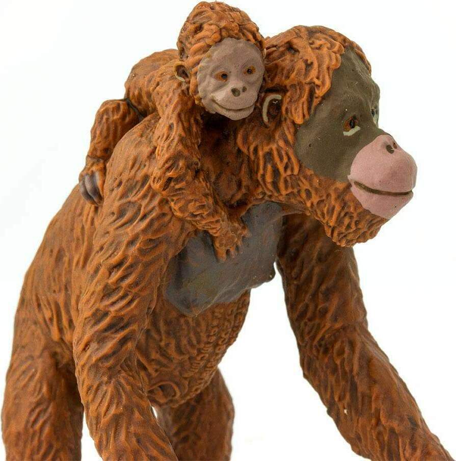 Orangutan with Baby Toy