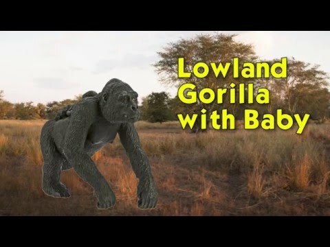 Lowland Gorilla with Baby Toy