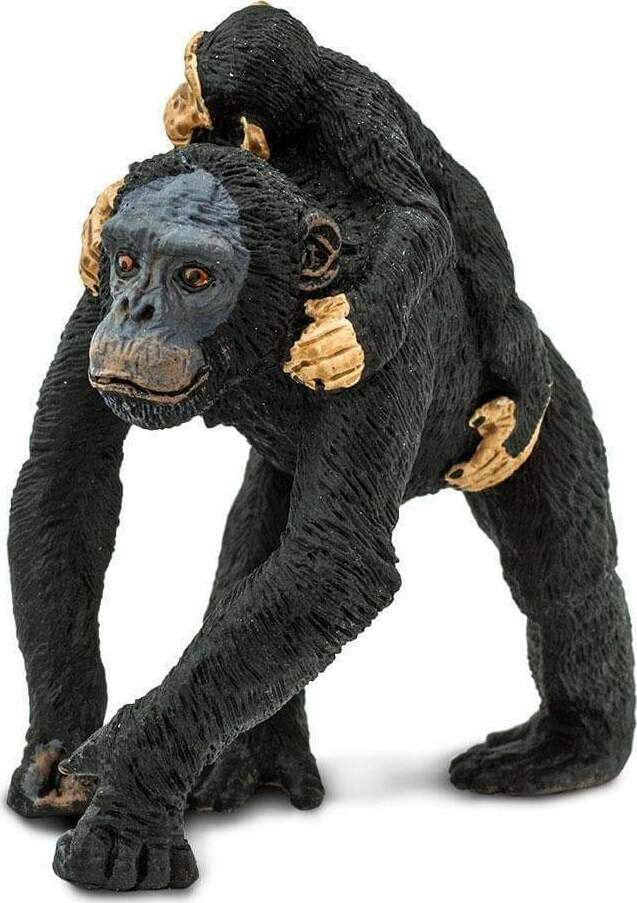 Chimpanzee with Baby Toy
