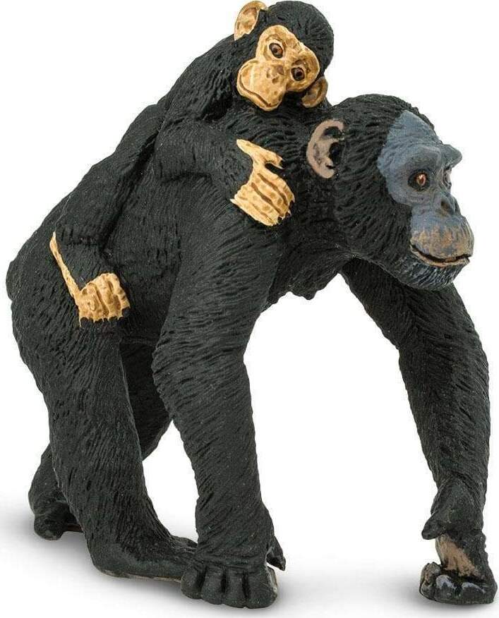 Chimpanzee with Baby Toy