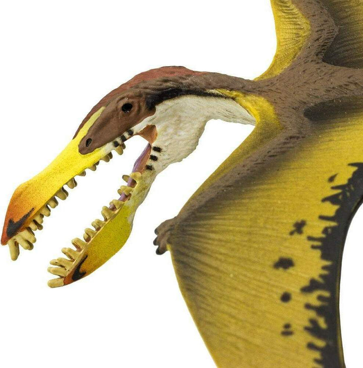 Pterosaur Toy