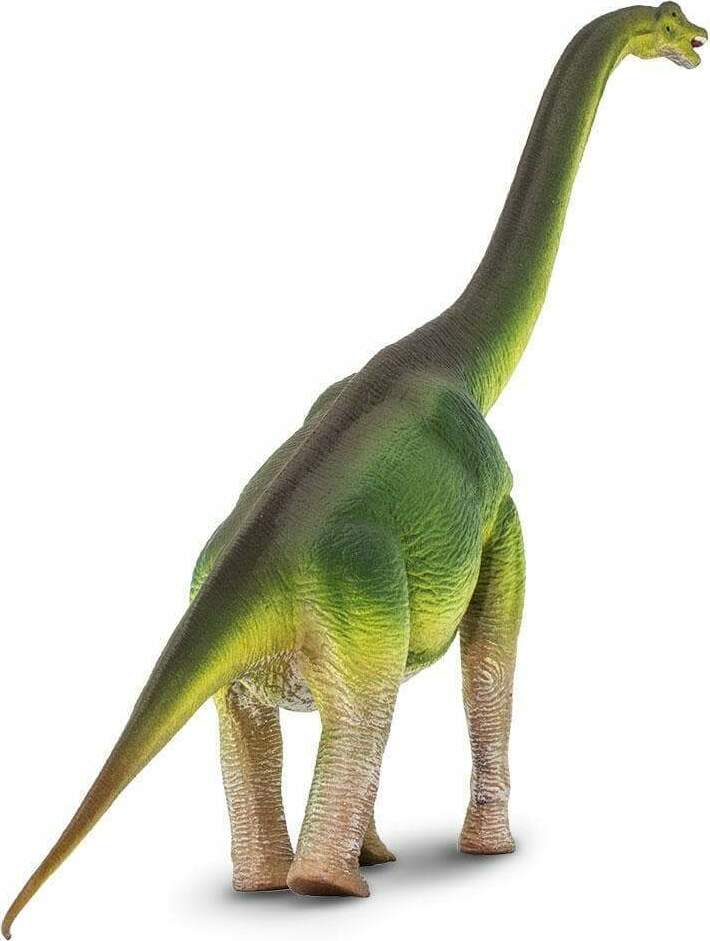 Brachiosaurus Toy