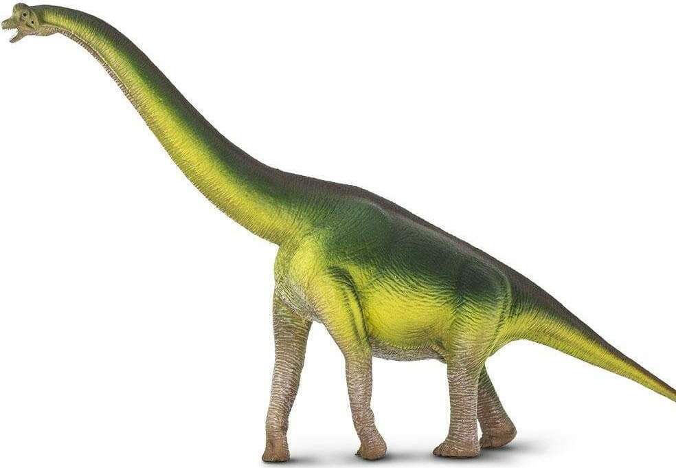 Brachiosaurus Toy