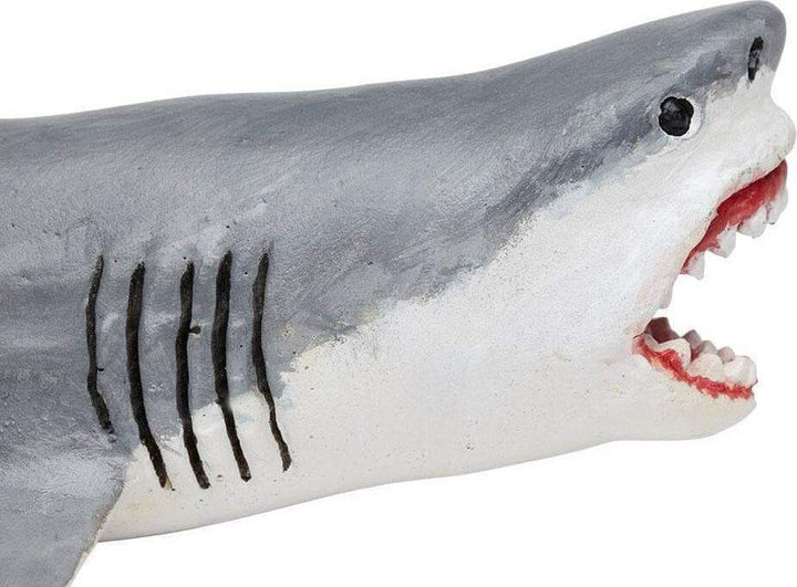 Megalodon Toy