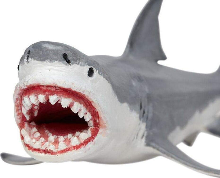 Megalodon Toy