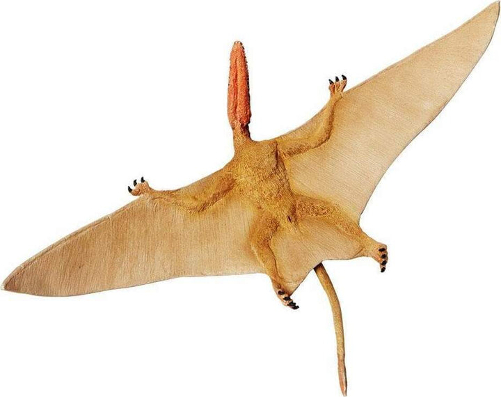 Dimorphodon Toy