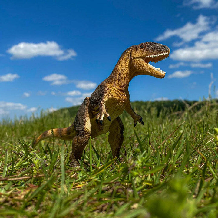 Carcharodontosaurus Toy