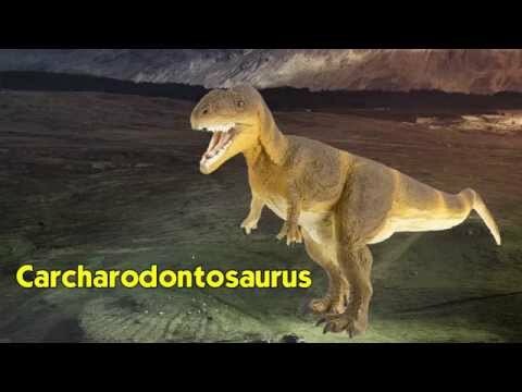 Carcharodontosaurus Toy