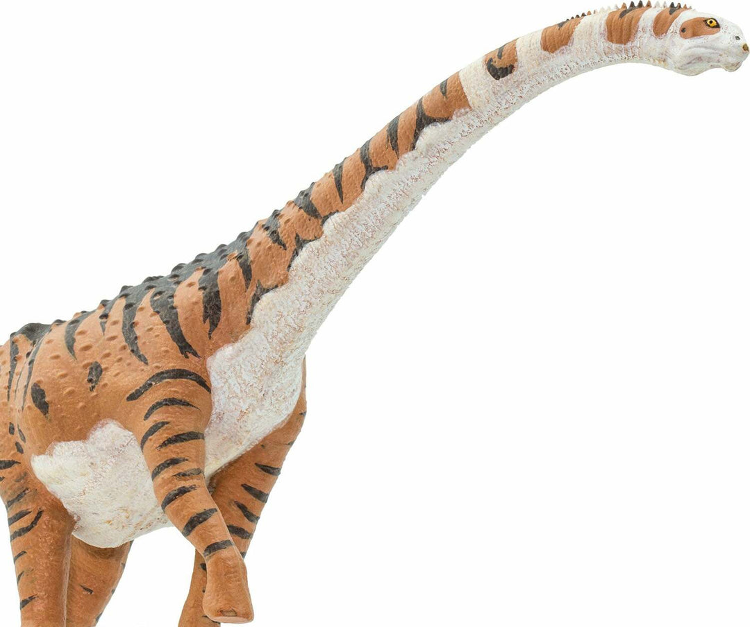 Malawisaurus Toy