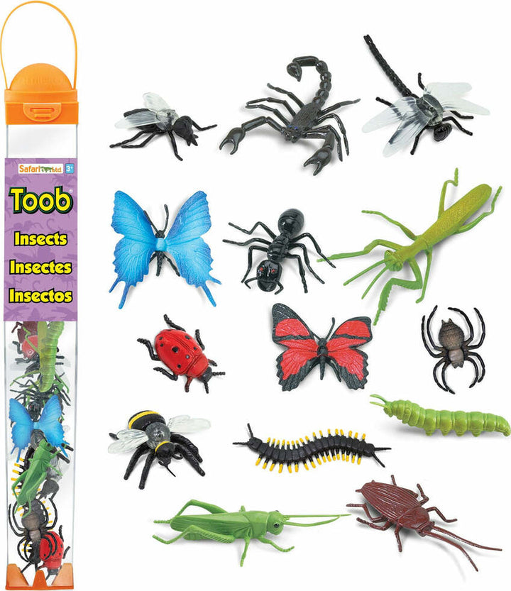 Insects TOOB®