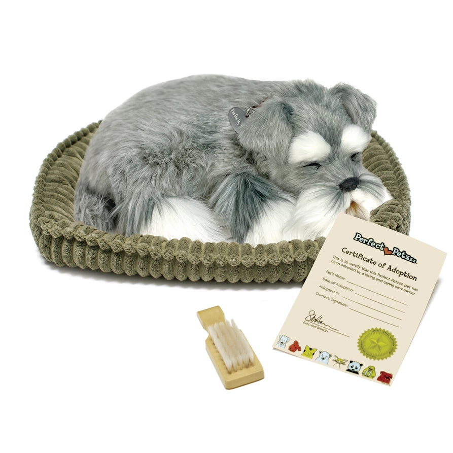 Perfect Petzzz Schnauzer
